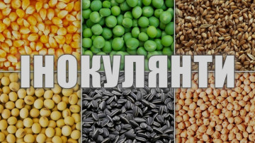 Інокулянти