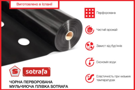 перфорована плівка для полуниці купити