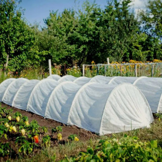 агроволокно для парника подснежник