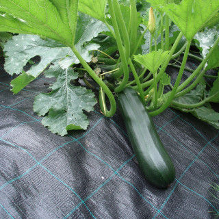 Агротекстиль тканий PoliAgro 70 г/м2 1,05х100 м